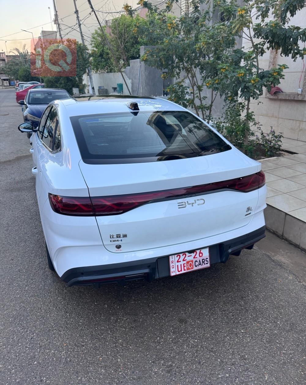 بي واي دي كوين L DM-i